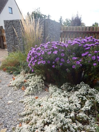Beispielarbeit von Michael Wicke - Garten- und Landschaftsbau - veröffentlicht auf Gartenbau.org