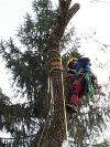 Beispielarbeit von Bamdeife Christoph Gilgen-Kunzlmann - veröffentlicht auf Gartenbau.org