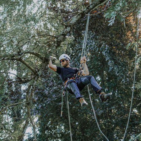 Beispielarbeit von Oachkatzl Buam GmbH - Baumpflege | Gartenbau - veröffentlicht auf Gartenbau.org