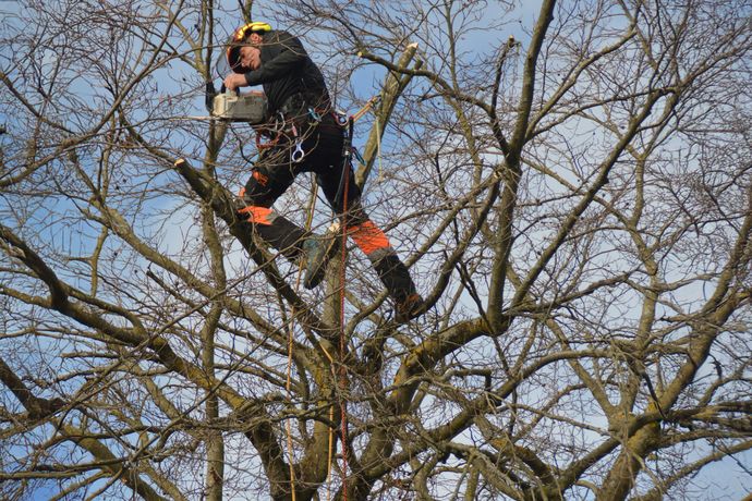 Beispielarbeit von mudra-Arbeit gGmbH - veröffentlicht auf Gartenbau.org