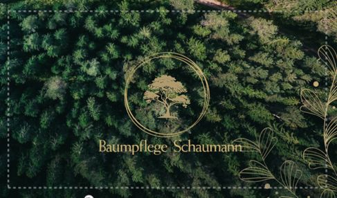 Baumpflege Schaumann in München
