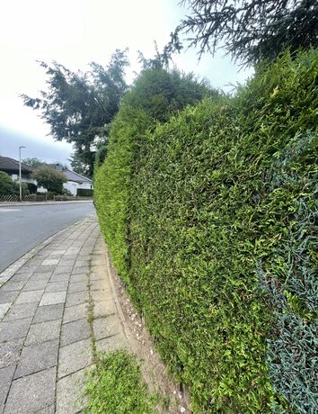 Beispielarbeit von Pascha GRT - veröffentlicht auf Gartenbau.org