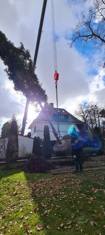 Beispielarbeit von Olchinger Garten- und Landschaftsbau GmbH - veröffentlicht auf Gartenbau.org
