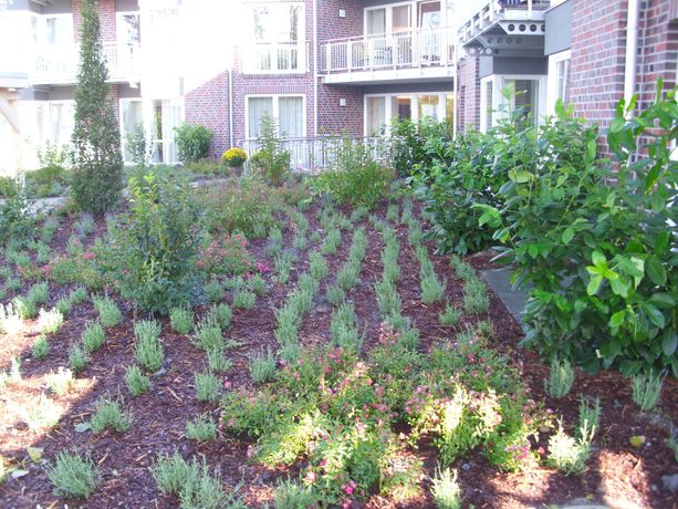 Beispielarbeit von Gerjets Garten- und Landschaftsbau - veröffentlicht auf Gartenbau.org