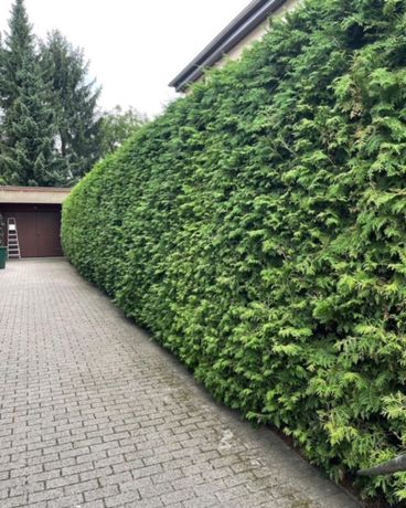 Beispielarbeit von SGS Sari GartenService Dienstleistung - veröffentlicht auf Gartenbau.org