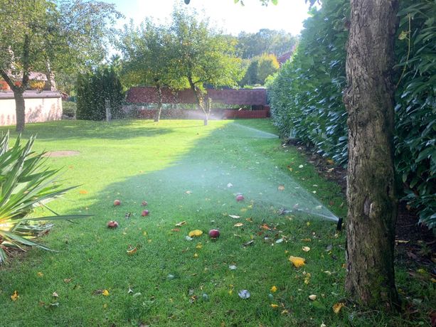 Beispielarbeit von Gartengrau Inh. Manuel Grau - veröffentlicht auf Gartenbau.org