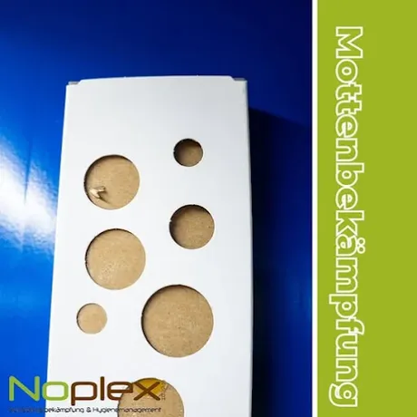 Beispielarbeit von Noplex GmbH - veröffentlicht auf Schaedlingsvernichtung.de