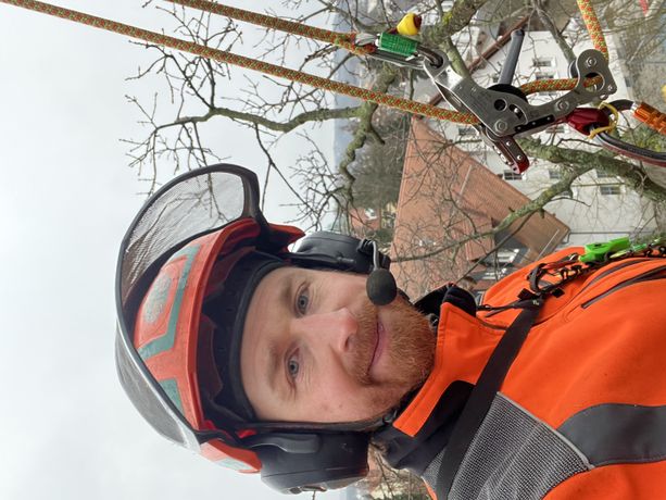 Beispielarbeit von Baum- und Forstdienst Walther - veröffentlicht auf Gartenbau.org