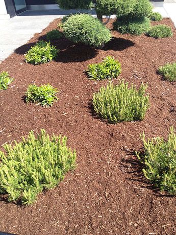 Beispielarbeit von Dervishaj GmbH - veröffentlicht auf Gartenbau.org