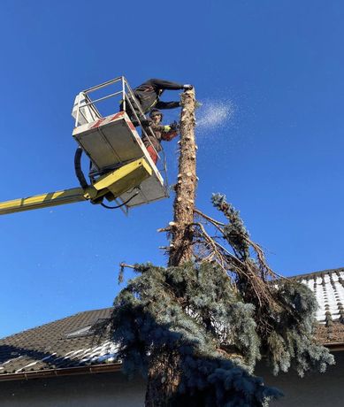 Beispielarbeit von Marvin Tobias Laudenklos Garten- und Landschaftsbau - veröffentlicht auf Gartenbau.org