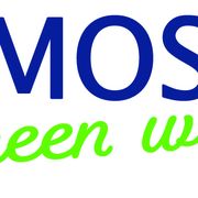 Moser the green wallart in Walldorf