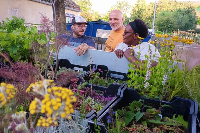 Beispielarbeit von mudra-Arbeit gGmbH - veröffentlicht auf Gartenbau.org