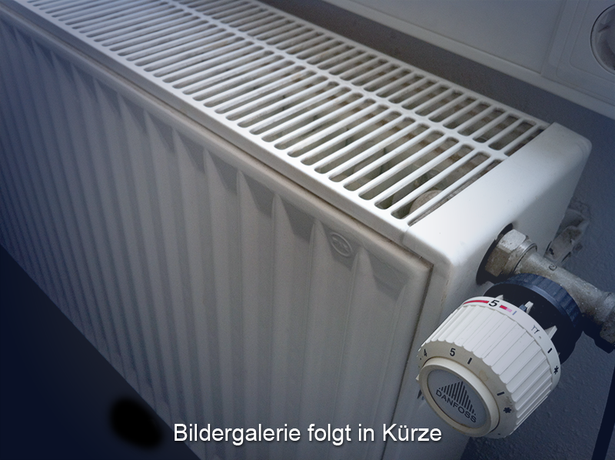 Beispielarbeit von ProMassivbau GmbH PROTHERM - veröffentlicht auf Heizungsbau.net