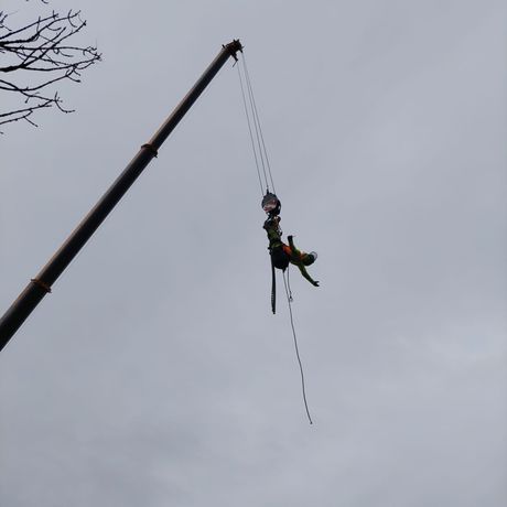 Beispielarbeit von Baumdienst Kronenprinz - veröffentlicht auf Gartenbau.org