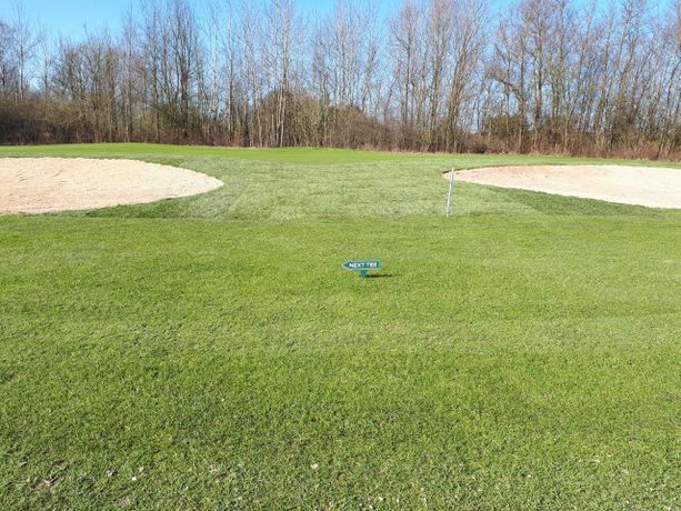 Beispielarbeit von GreenFairway e.K. - veröffentlicht auf Gartenbau.org
