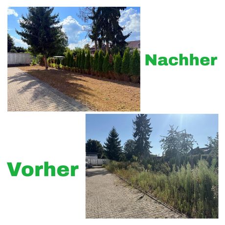 Beispielarbeit von Rundum Immobilienservice - veröffentlicht auf Gartenbau.org