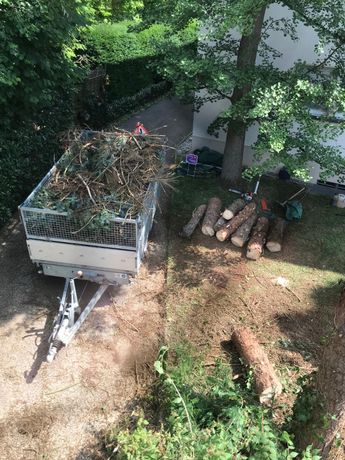 Beispielarbeit von Martin Müller BaumTänzer Baumpflege - veröffentlicht auf Gartenbau.org