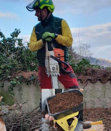 Beispielarbeit von Wolfgang Matt Baum- & Gartenpflege - veröffentlicht auf Gartenbau.org