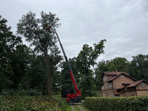 Beispielarbeit von LatraTec Forstdientsleistungen GbR - veröffentlicht auf Gartenbau.org
