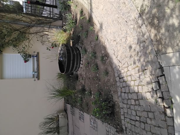 Beispielarbeit von Jörg Laubenstein JLDS Bau - veröffentlicht auf Gartenbau.org