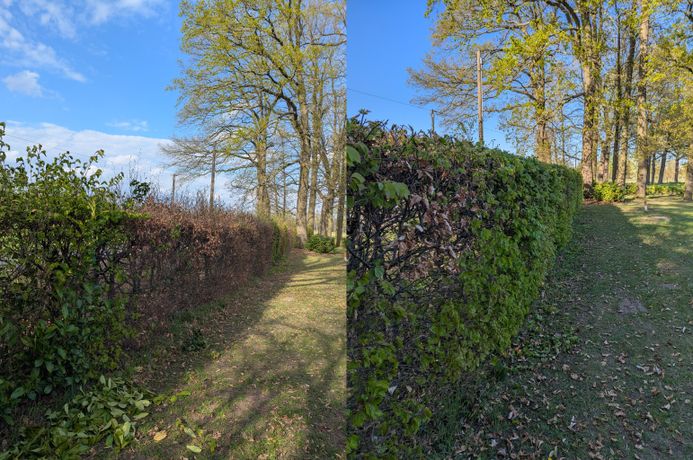 Beispielarbeit von GrünFix - veröffentlicht auf Gartenbau.org