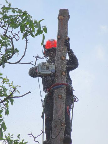 Beispielarbeit von Mentor Sejdija Garten- und Baumpflege - veröffentlicht auf Gartenbau.org