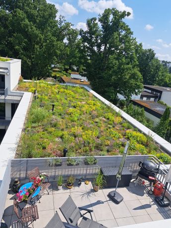 Beispielarbeit von FRANKENGRÜN Grünanlagenbau - veröffentlicht auf Gartenbau.org