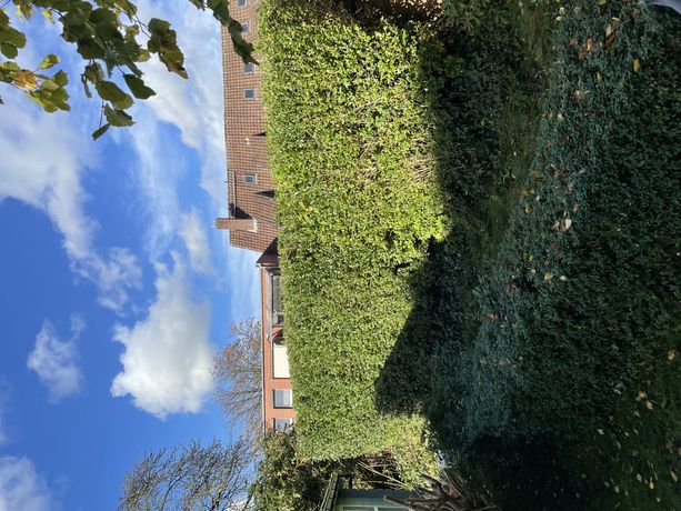 Beispielarbeit von OZ Galabau - veröffentlicht auf Gartenbau.org