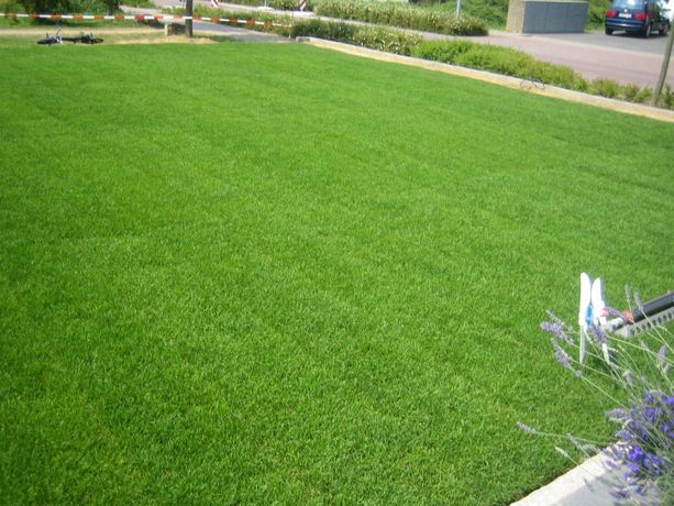 Beispielarbeit von Franz-Josef Hansen Gartenbau - veröffentlicht auf Gartenbau.org