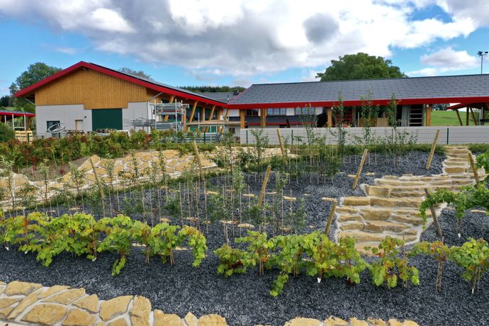 Beispielarbeit von Sebastian Grohmann Igel Bau - veröffentlicht auf Gartenbau.org