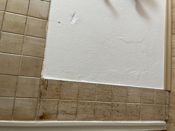 Beispielarbeit von Hausmeisterservice BB - veröffentlicht auf Hausmeisterdienste.net