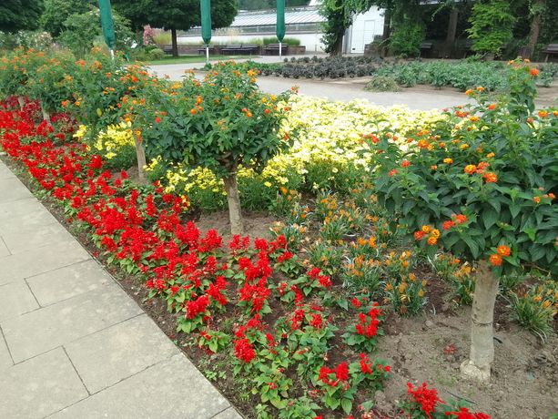 Beispielarbeit von Shaban Ahmedov Garten- und Landschaftsbau - veröffentlicht auf Gartenbau.org