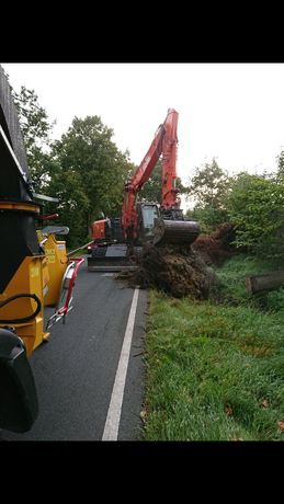 Beispielarbeit von Der Baumprofi Melhaff - veröffentlicht auf Gartenbau.org