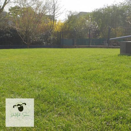 Beispielarbeit von Der Mäh - Service - veröffentlicht auf Gartenbau.org