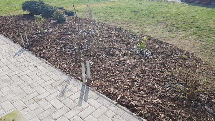 Beispielarbeit von Christian Ewig Garten- und Landschaftspflege UG - veröffentlicht auf Gartenbau.org