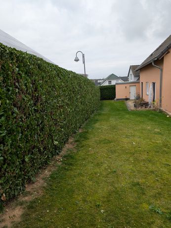 Beispielarbeit von Dein Gärtner - veröffentlicht auf Gartenbau.org