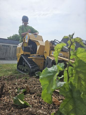 Beispielarbeit von Green Pulse Bochum - veröffentlicht auf Gartenbau.org
