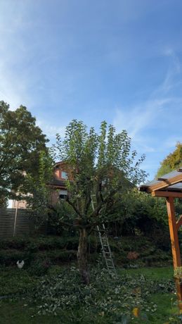 Beispielarbeit von Sehlke&Grün - veröffentlicht auf Gartenbau.org
