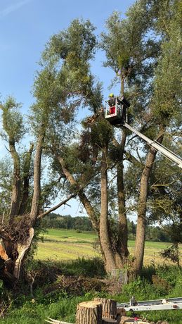Beispielarbeit von Garten&Forstservice Beversdorf - veröffentlicht auf Gartenbau.org