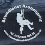 Baumdienst Kronenprinz in Waibstadt