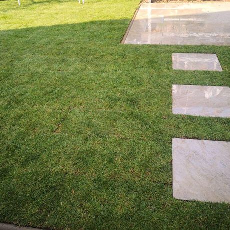 Beispielarbeit von Bytyqi-Gartenbau - veröffentlicht auf Gartenbau.org