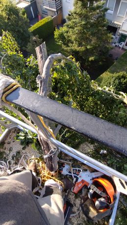 Beispielarbeit von S-O-S Dienstleistungen - veröffentlicht auf Gartenbau.org