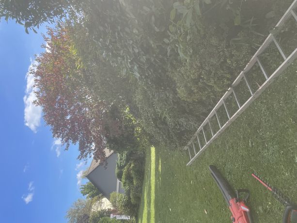 Beispielarbeit von Gala bau Lambrecht - veröffentlicht auf Gartenbau.org