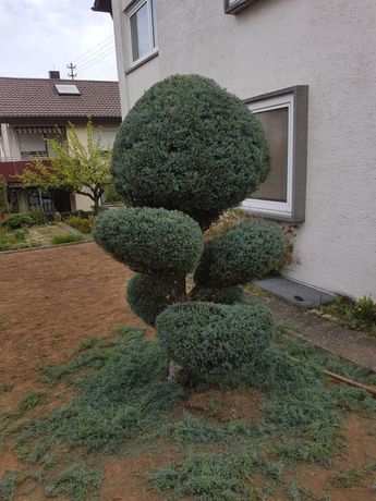 Beispielarbeit von Gartenbau Susan - veröffentlicht auf Gartenbau.org