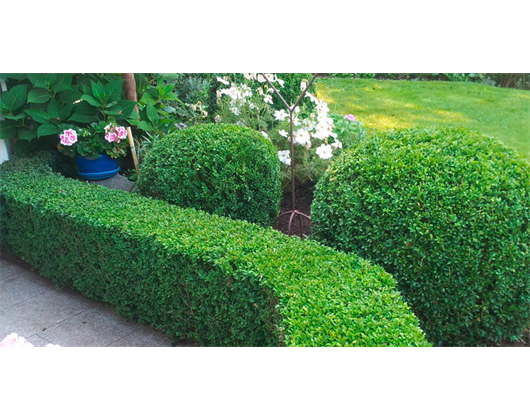 Beispielarbeit von Landschaftsbau Michael Hofmann - veröffentlicht auf Gartenbau.org