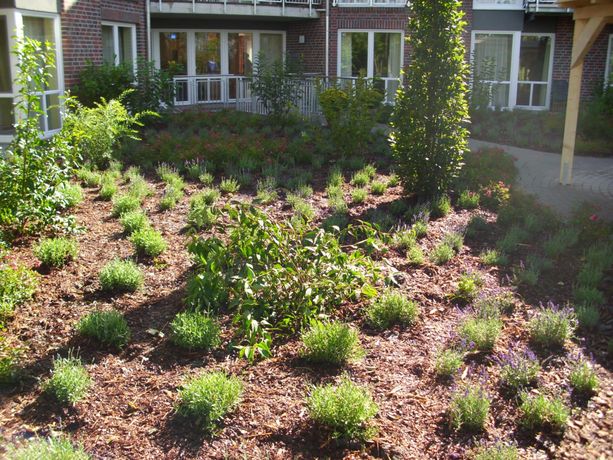 Beispielarbeit von Gerjets Garten- und Landschaftsbau - veröffentlicht auf Gartenbau.org