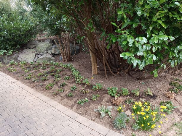 Beispielarbeit von Christian Ewig Garten- und Landschaftspflege UG - veröffentlicht auf Gartenbau.org