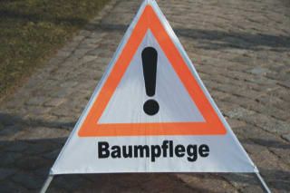 Beispielarbeit von Baum-Pflege24 - veröffentlicht auf Gartenbau.org