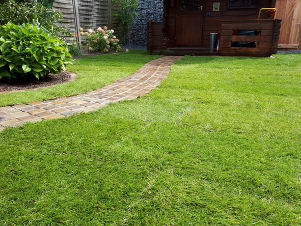 Beispielarbeit von GreenFairway e.K. - veröffentlicht auf Gartenbau.org