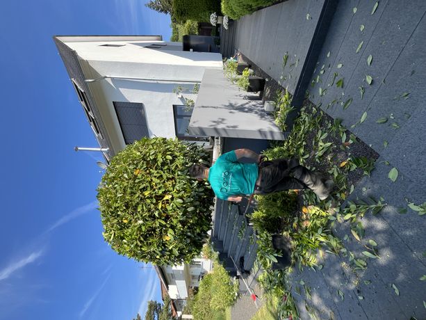 Beispielarbeit von Dario Garten & Landschaftsbau - veröffentlicht auf Gartenbau.org